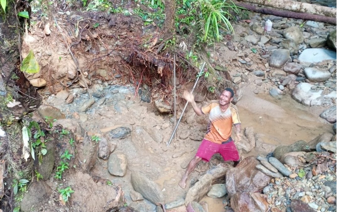 Searching for Gold in the Jungle