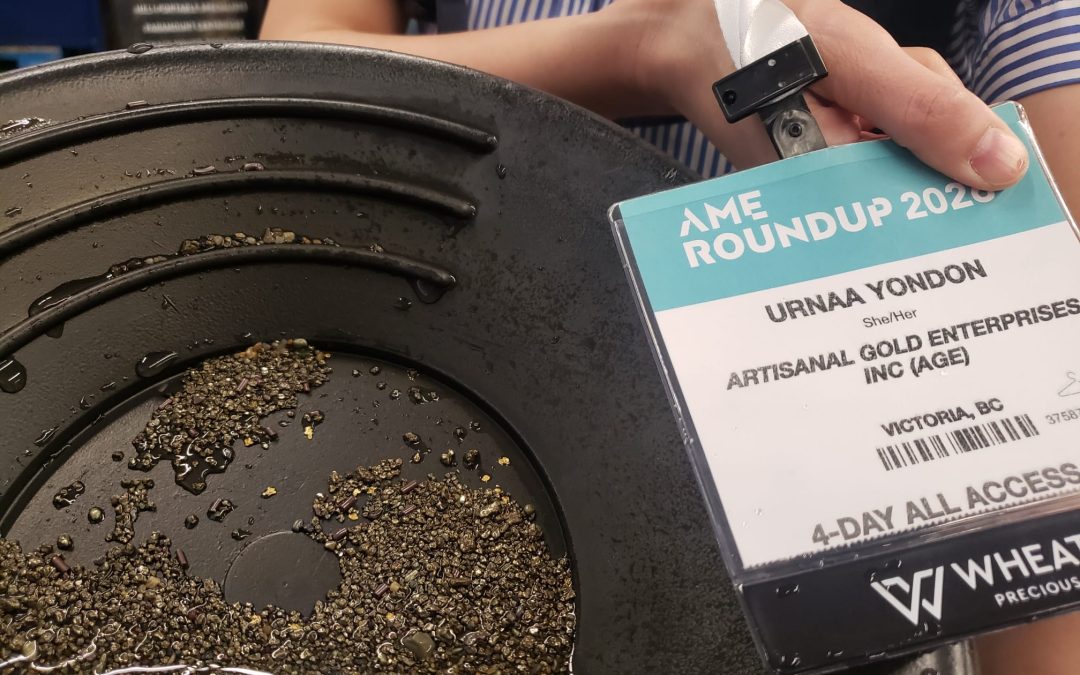 Reflection from AME Roundup 2026, Artisanal and Small-Scale Gold Mining (ASGM) sector, “Engage & Improve”